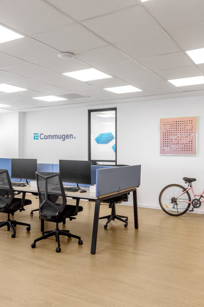 Workstations with blue desk dividers