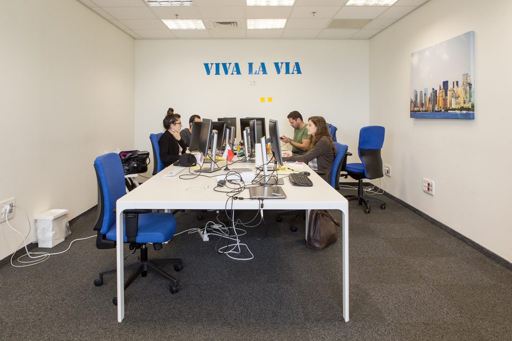 Shared workstations with blue chairs