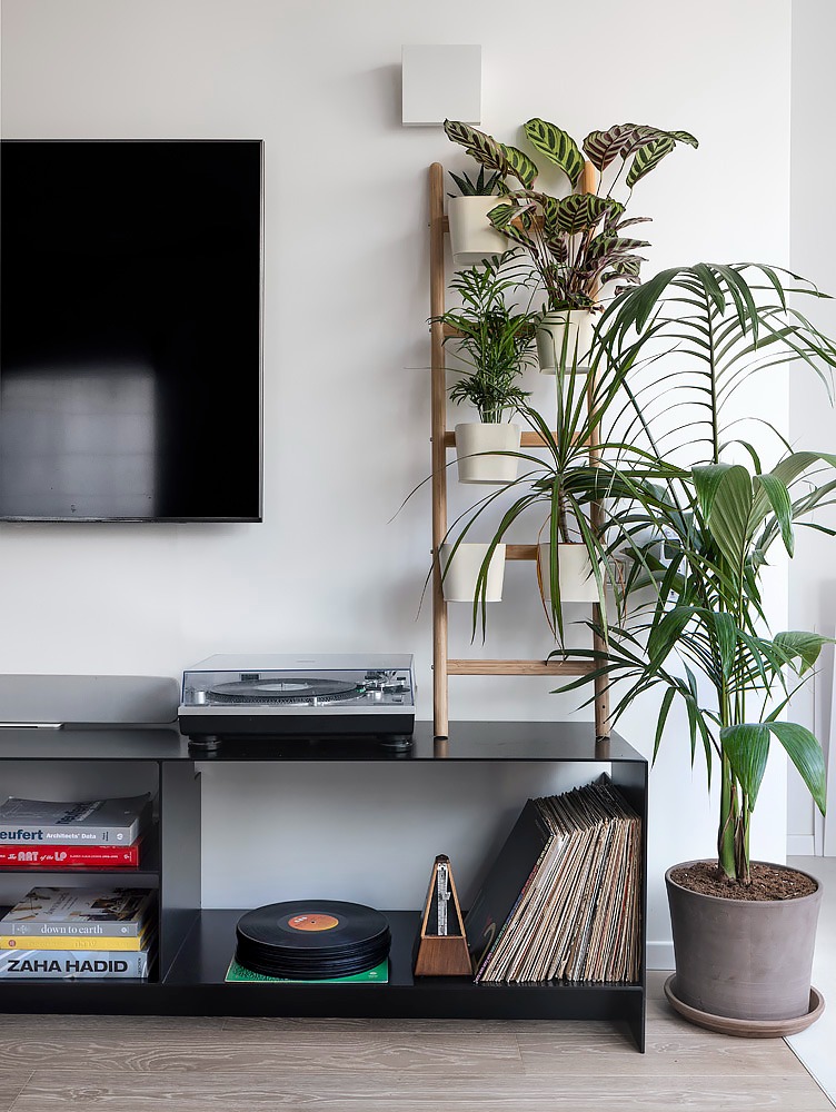 Black record shelf and plants below the TV